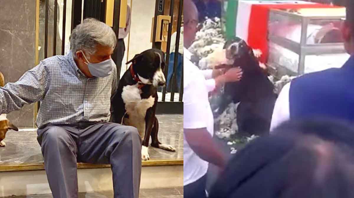 goa-ratan-pet