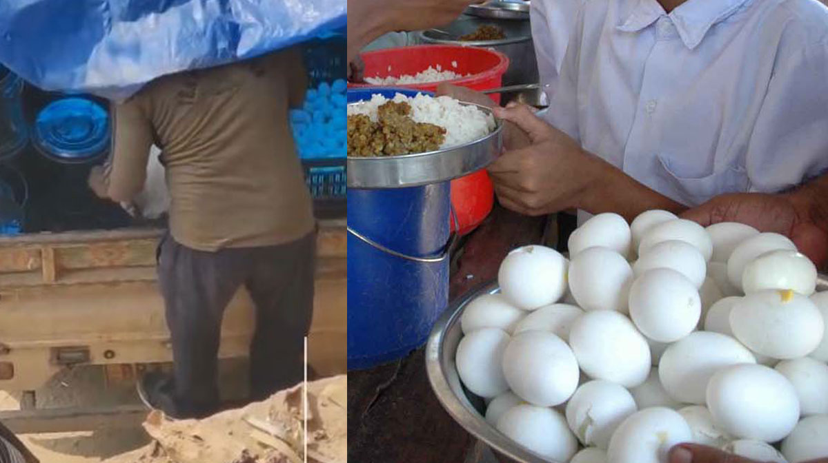 egg
