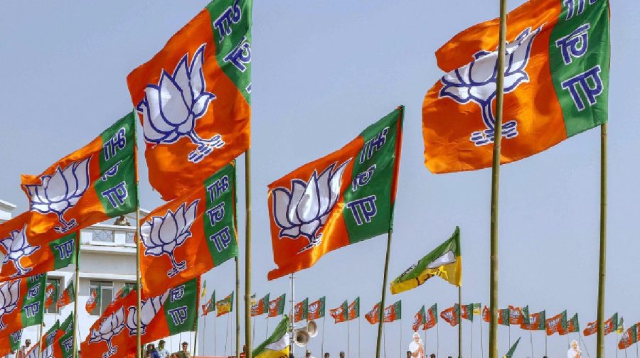 bjp-flag