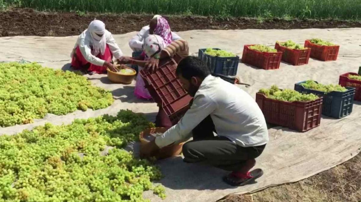 Image∙ Shutterstock - 1