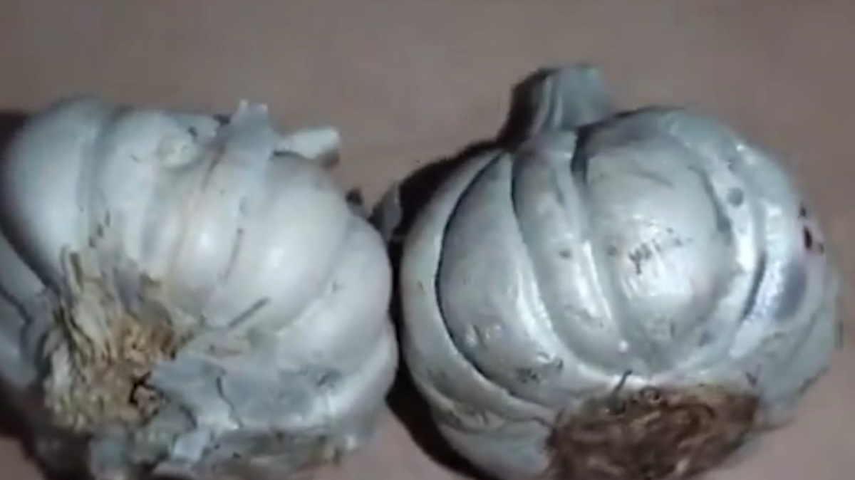 FakeGarlic