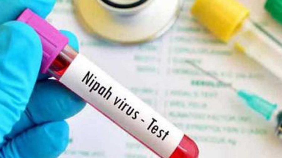 nipah-bengaluru