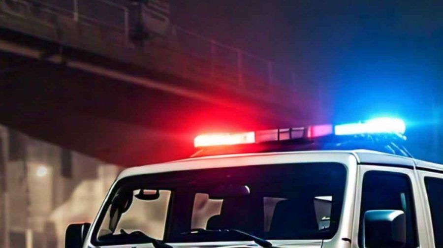 police-arrest
