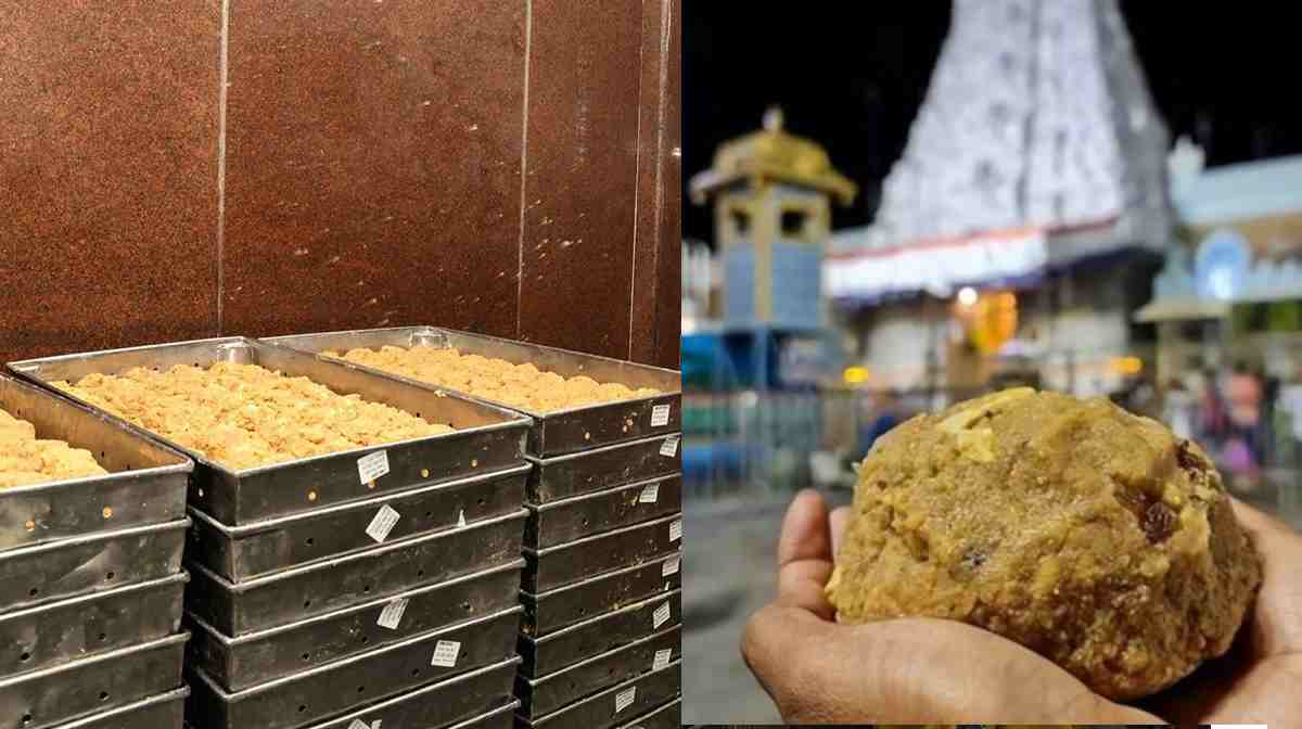 tirupati-laddu