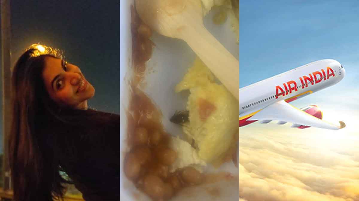 cockroach-air-india-newyork