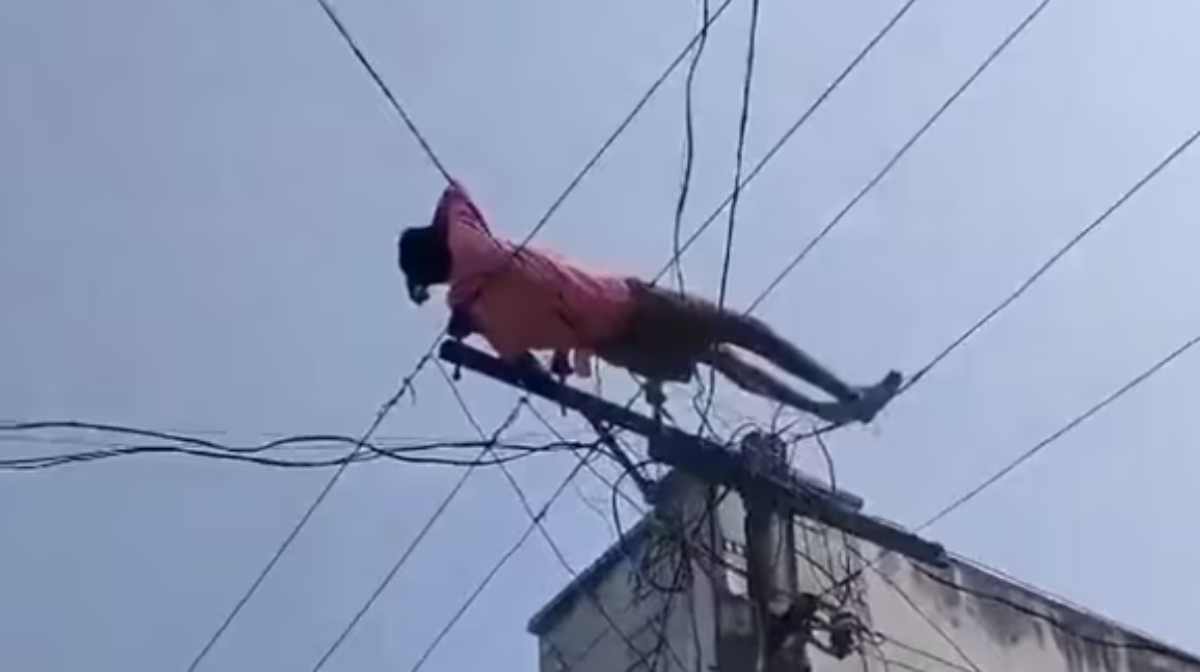 electric-nap
