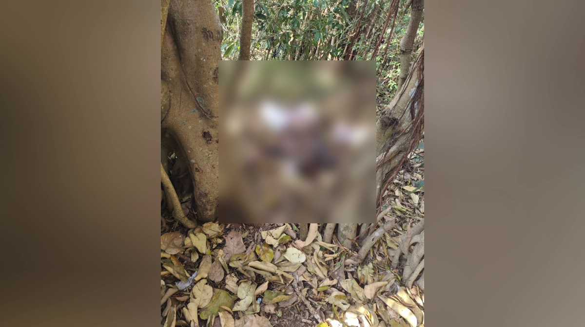 dindigul-blast-tamil-nadu