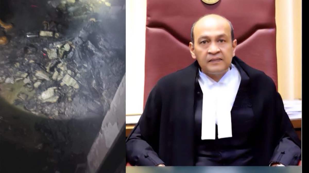 judge-report