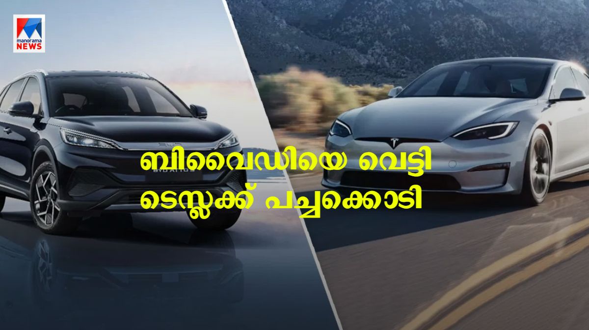 byd-tesla-india