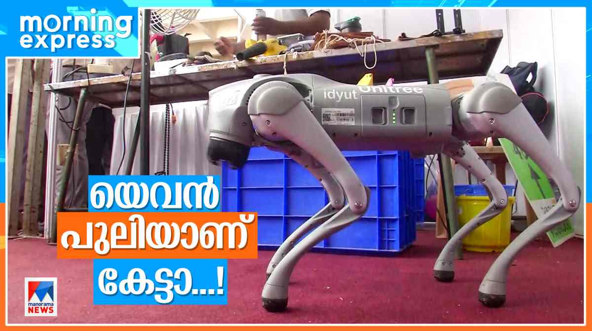 robo-dog