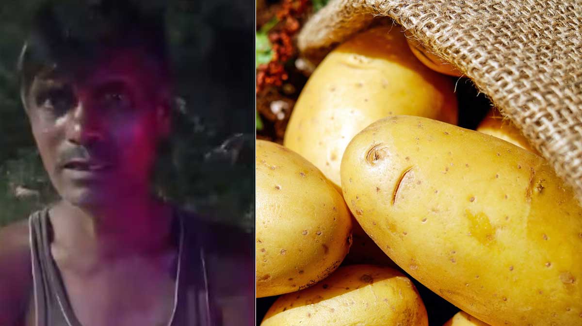 potato-missing potato-missing