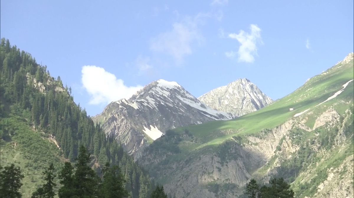 Image∙ Shutterstock - 1