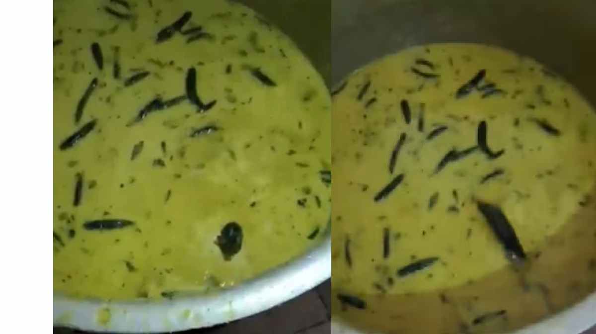 rat-in-chutney rat-in-chutney
