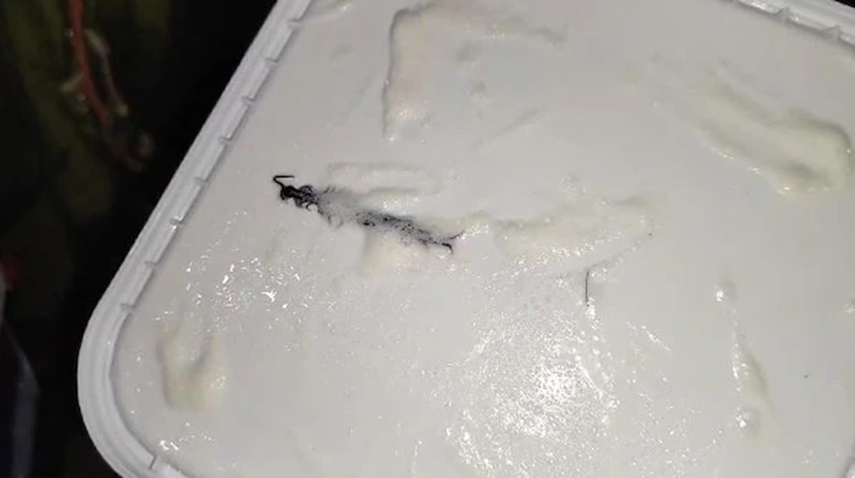 Image: x/sachingupta/up