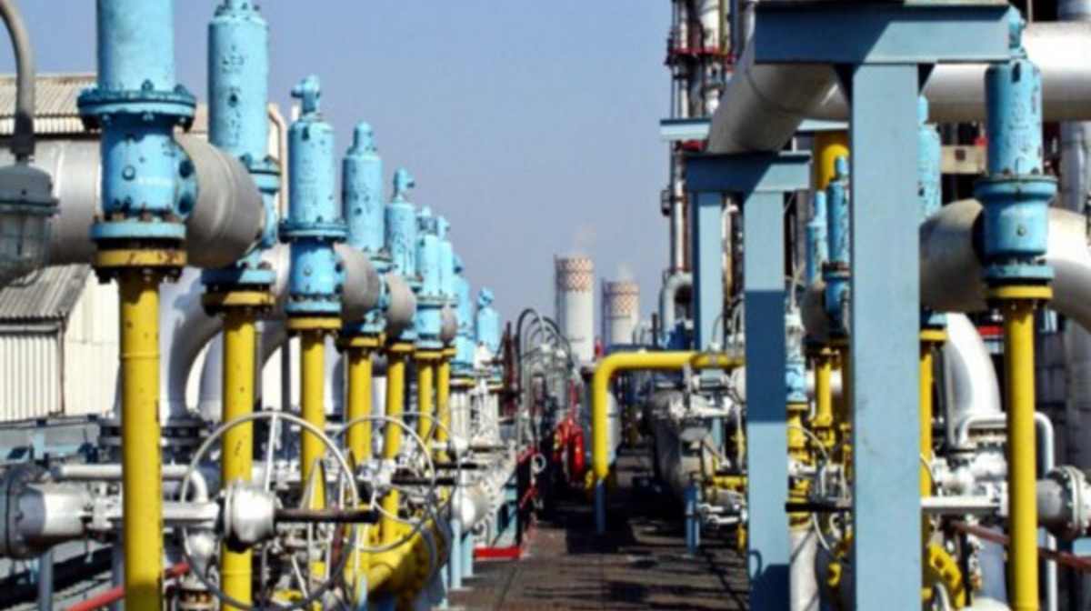 Representative Image (Photo/ANI)