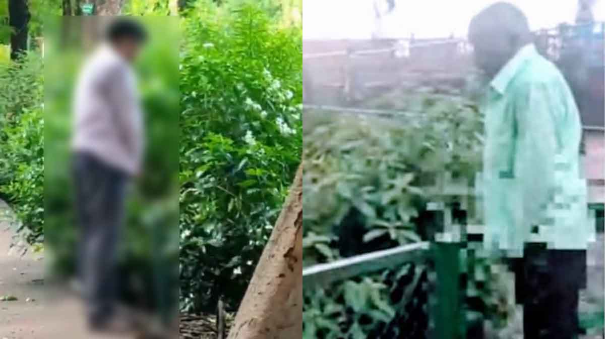 urinate-inside-taj-garden