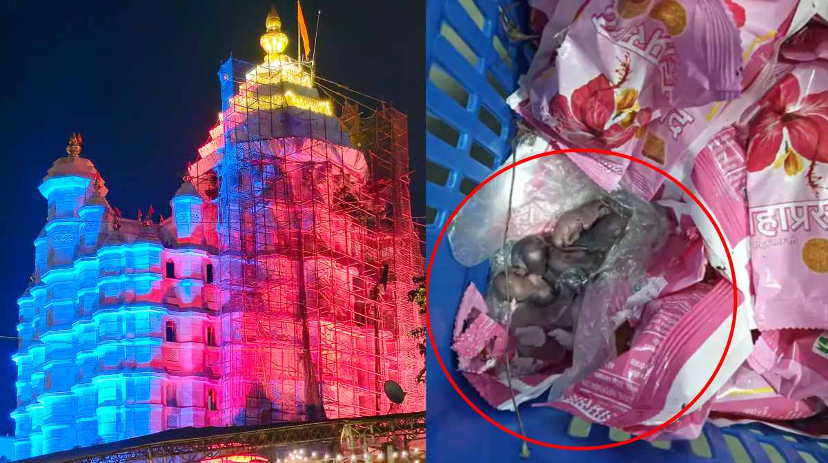 rats-siddhivinayak-temple-prasad