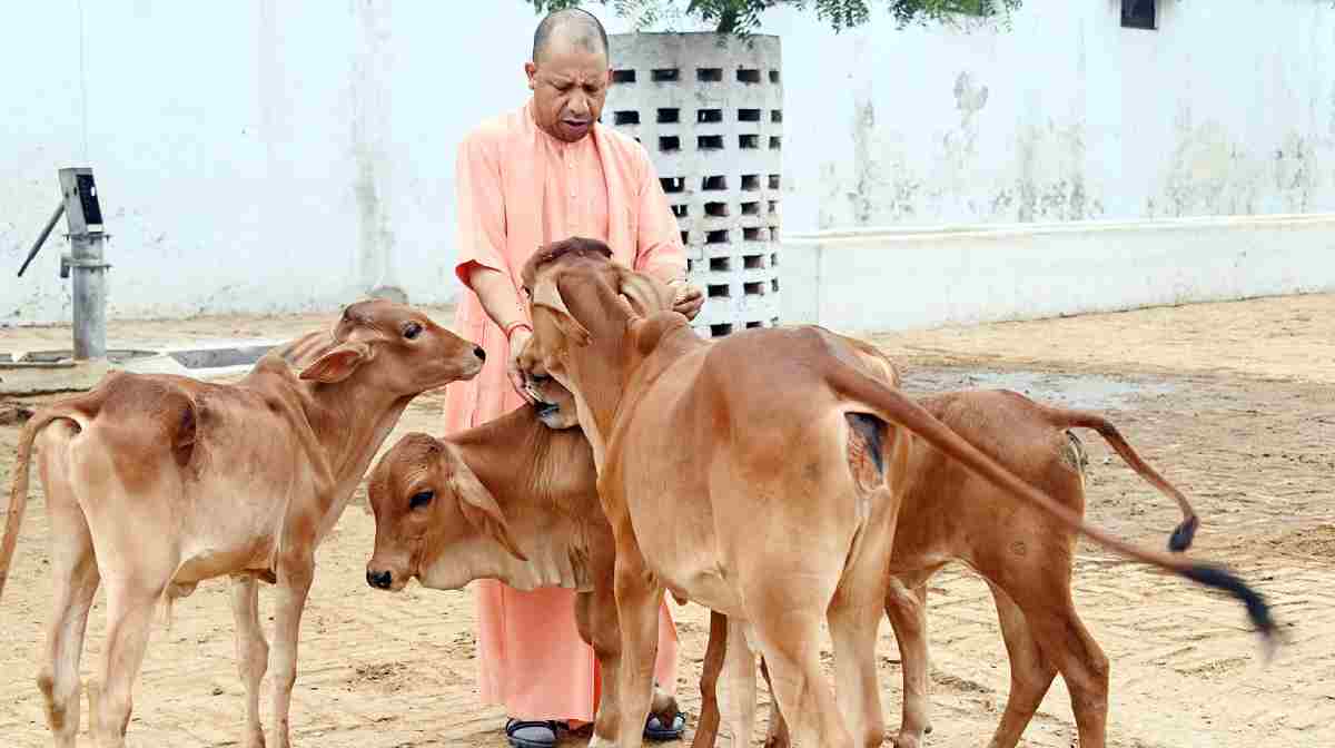 ഫയല്‍ ചിത്രം. 