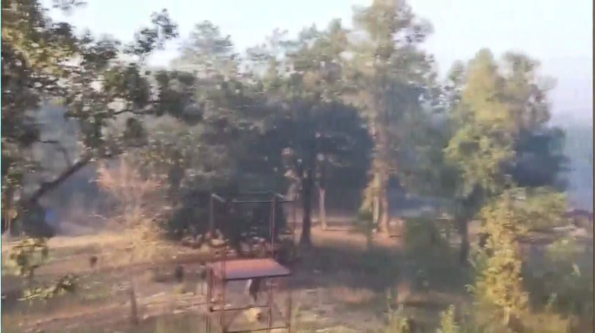 chhattisgarh-encounter