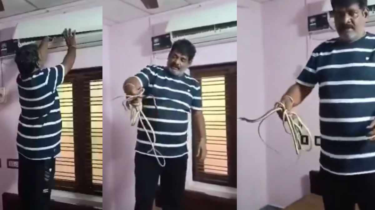 Image Credit: x.com/TeluguScribe