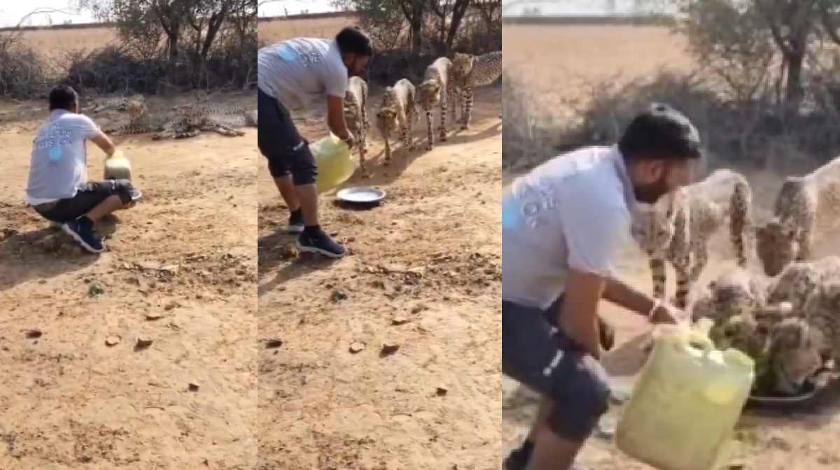 Image: x.com/Ajaydubey