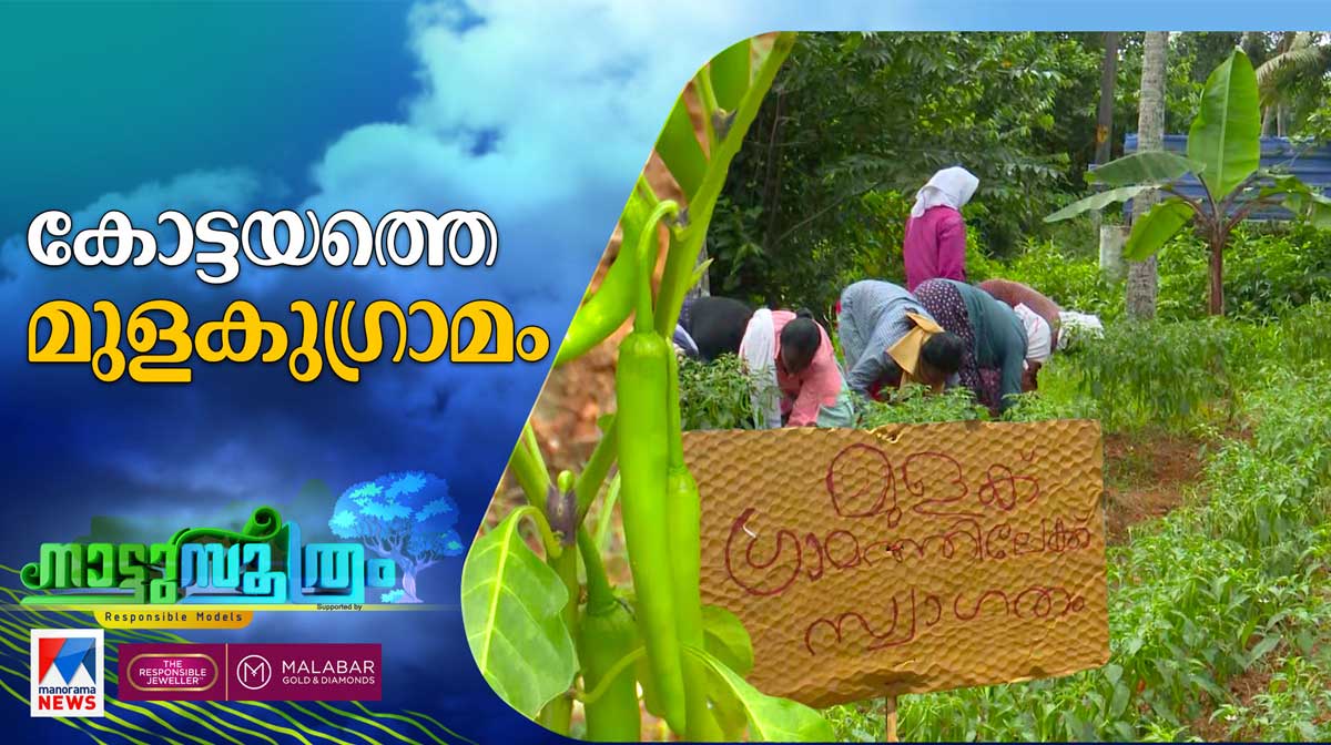 kottayam-mulaku-gramam kottayam-mulaku-gramam