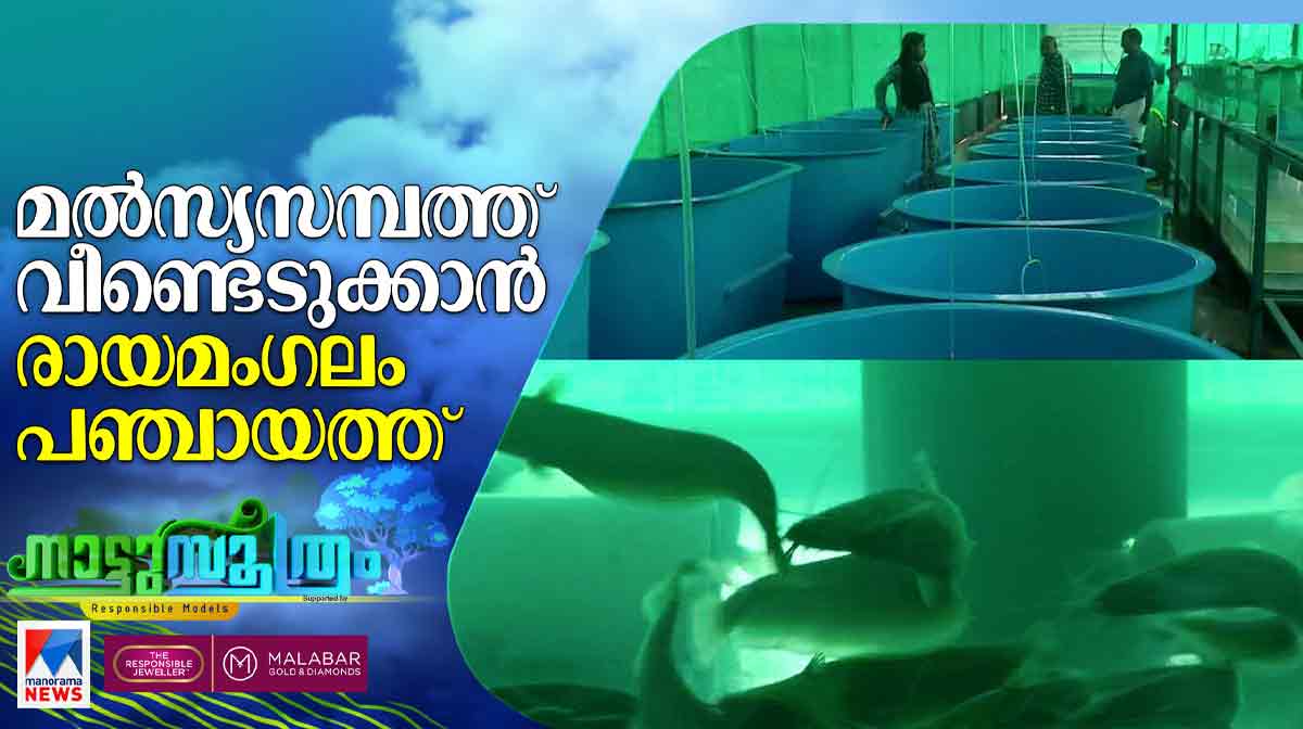 rayamangalam rayamangalam