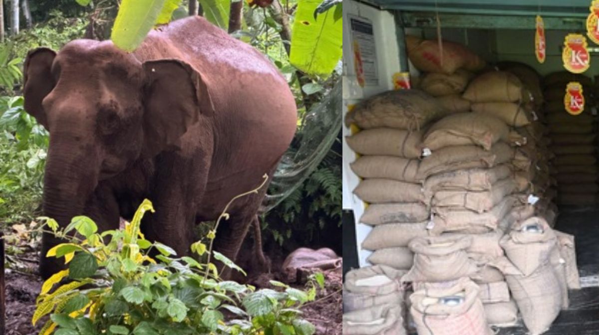 Akhil Marar will give money to CMDRF, Campaign Against cmdrf: Will the case survive if it goes to court?, wayanad landslide today live updates, mundakai landslide, chooralmala landslide, rescue ops, rescue operations, military help, chooralmala, meppadi, - 1