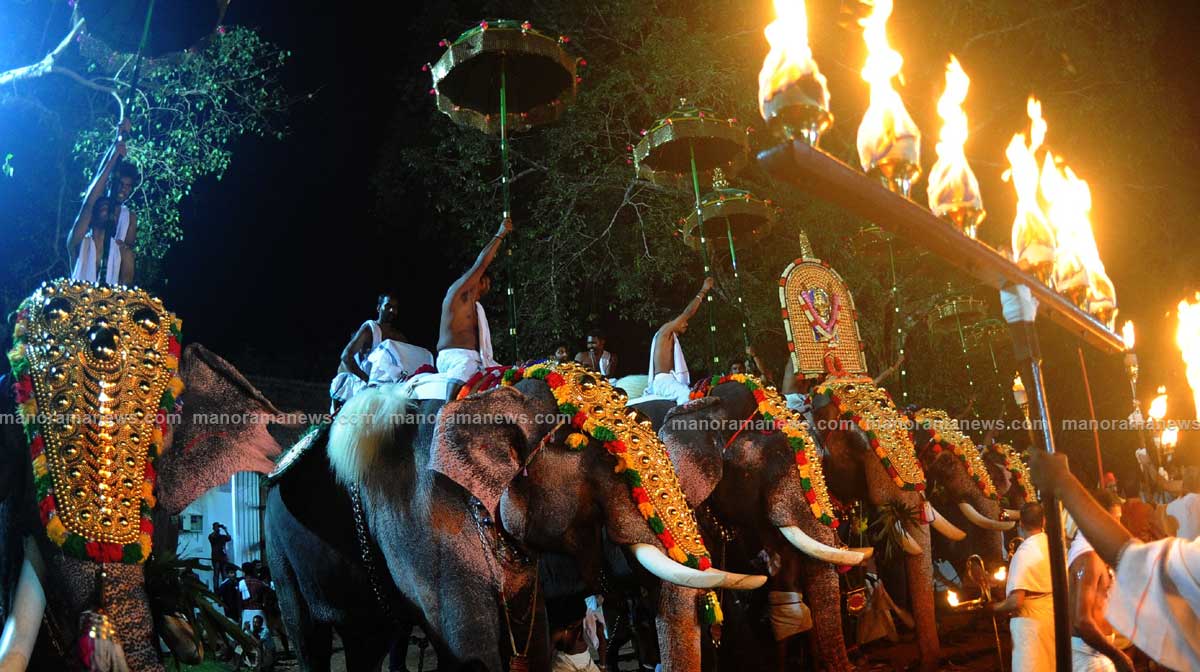 pooram-elephant-procession