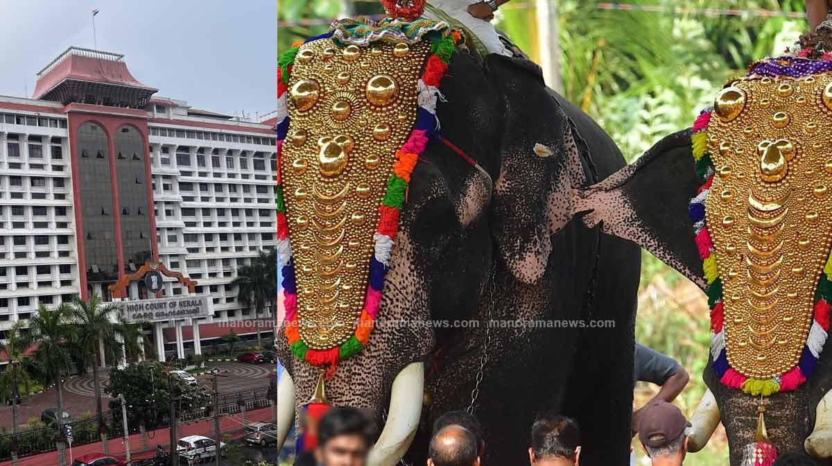 high-court-elephant-3