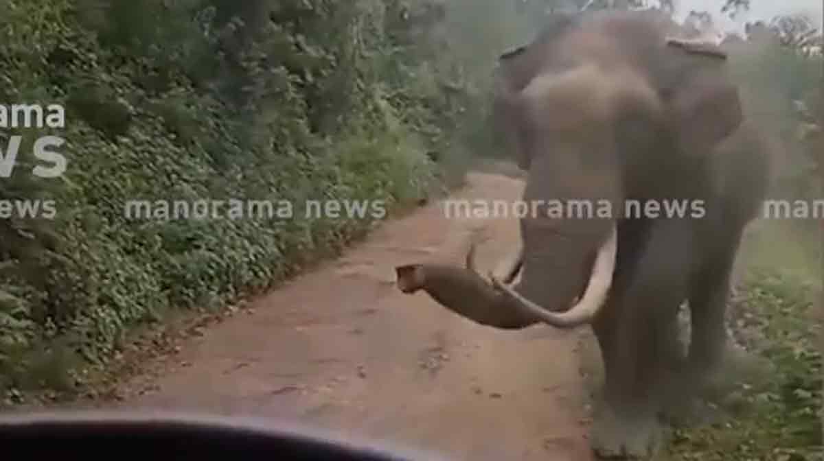 padayappa padayappa