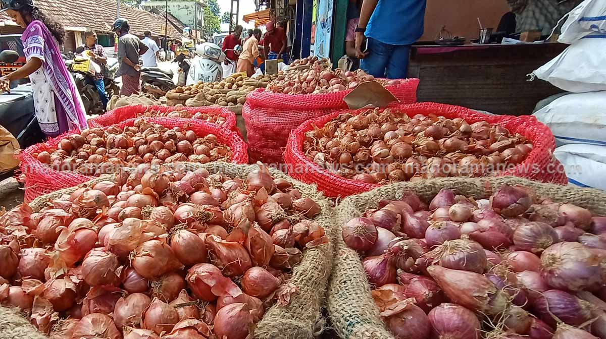 big-onion-3