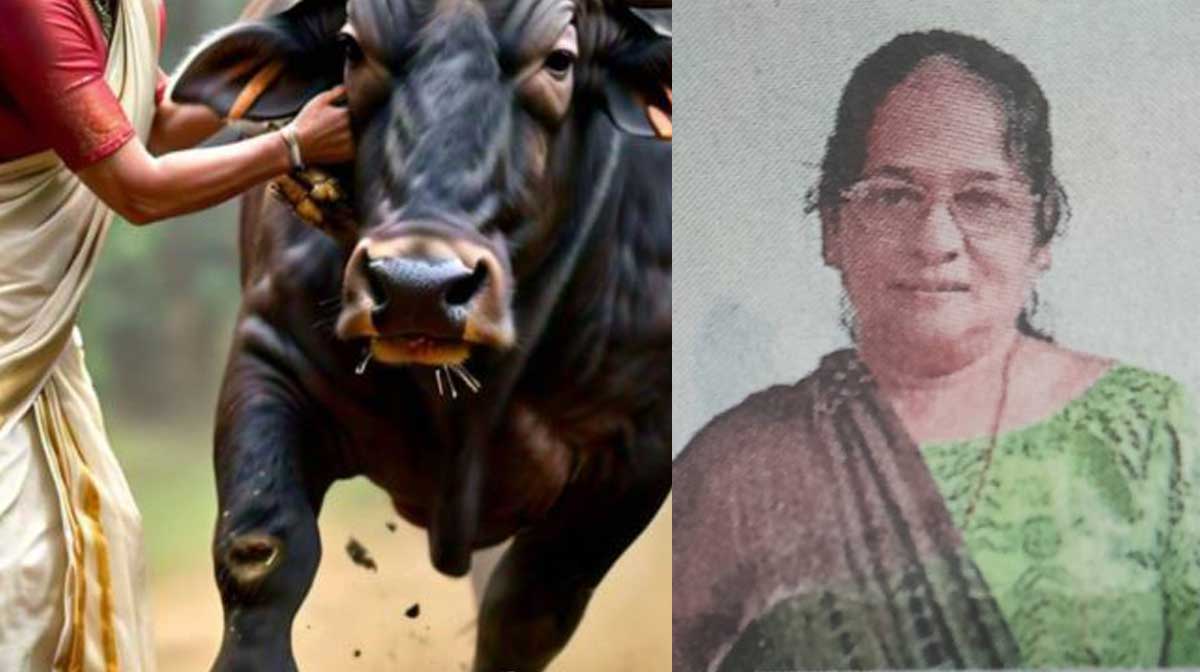 achamma achamma
