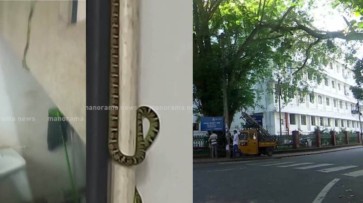snakes-secretariat snakes-secretariat