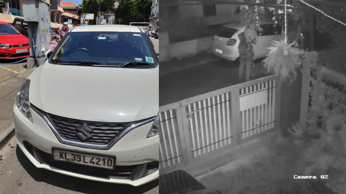 zoom-carfraud