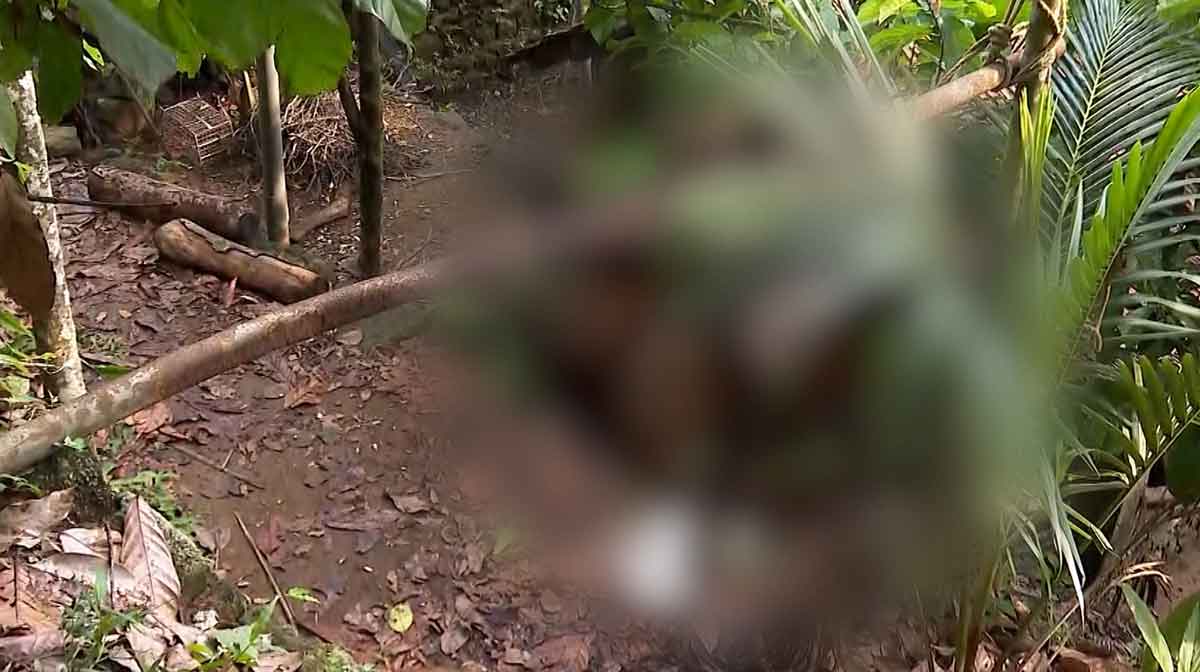 thodupuzha-attack-26 thodupuzha-attack-26