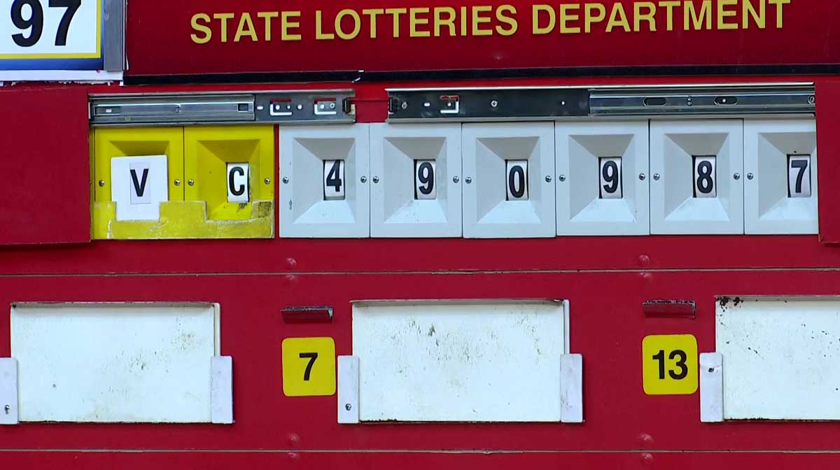 vishu-bumper-alpy-29