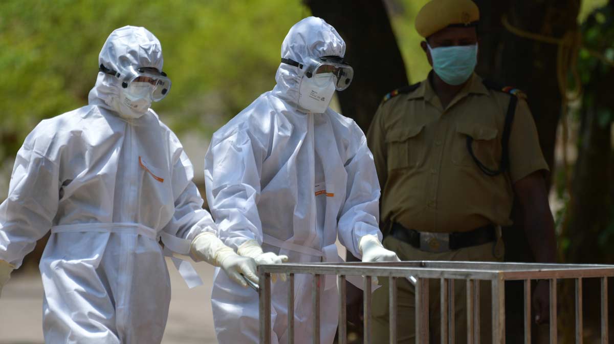 nipah-file-image-2107