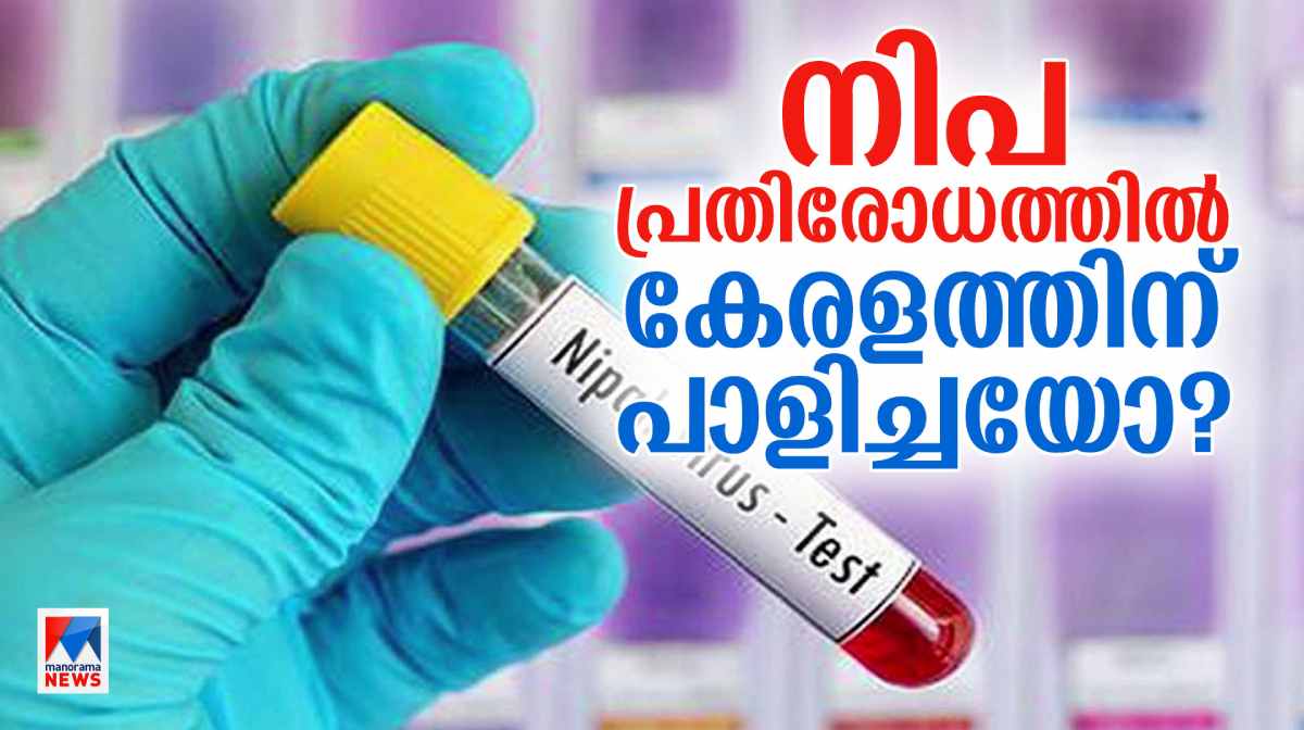 state-is-lax-in-Nipah-defence state-is-lax-in-Nipah-defence
