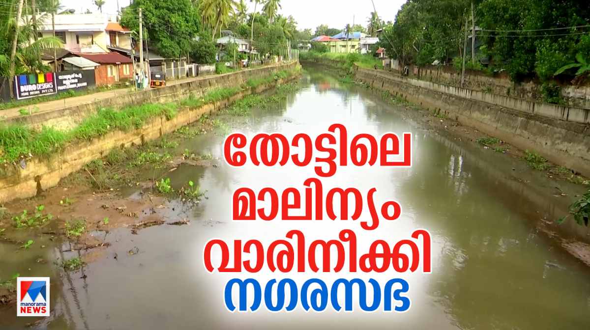 the-municipal-corporation-has-removed-the-plastic-waste-from-amayizhanchan