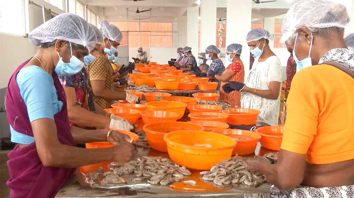 prawns-export prawns-export