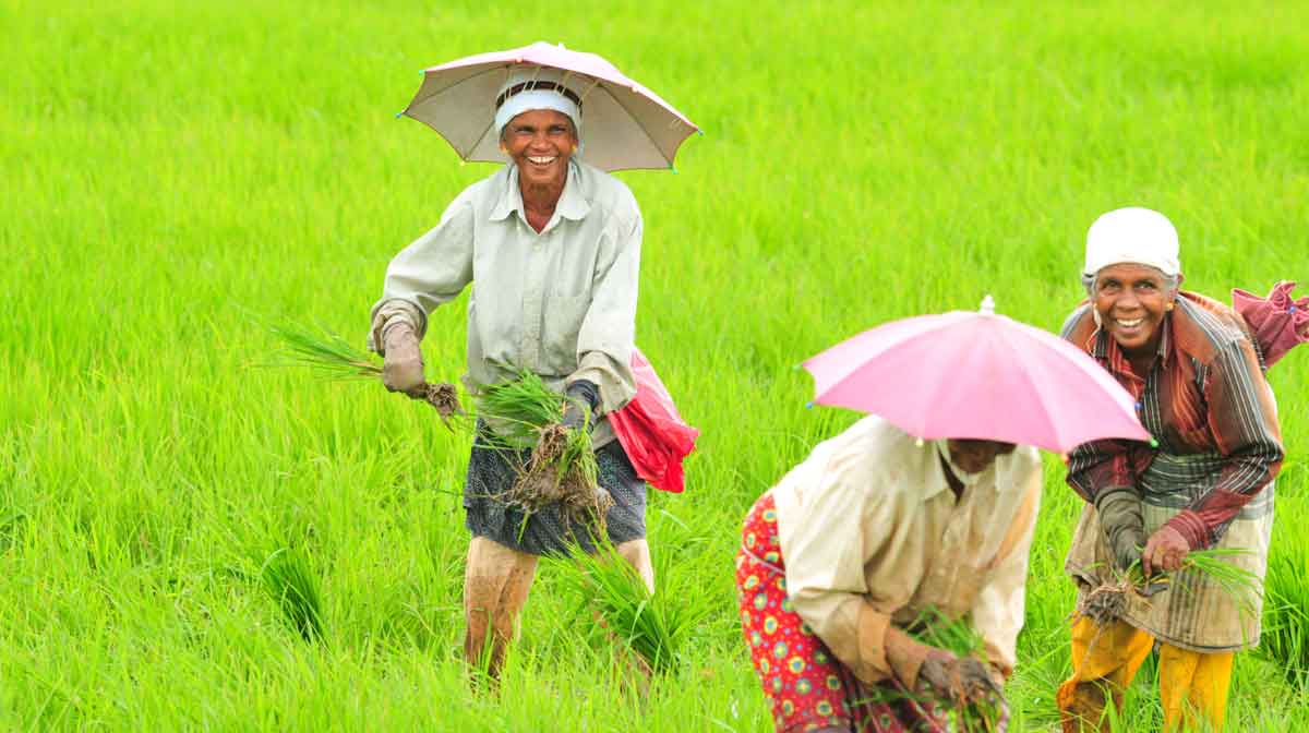 malayalam-new-year-kerala