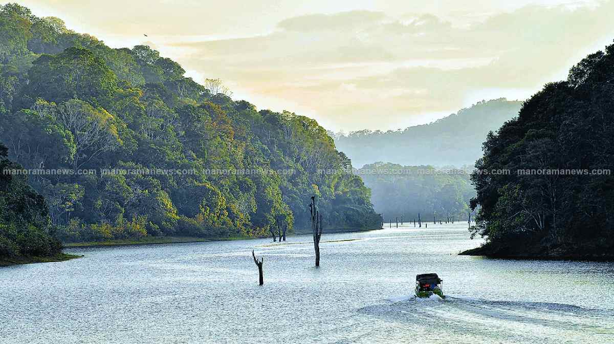 thekkady-lake thekkady-lake