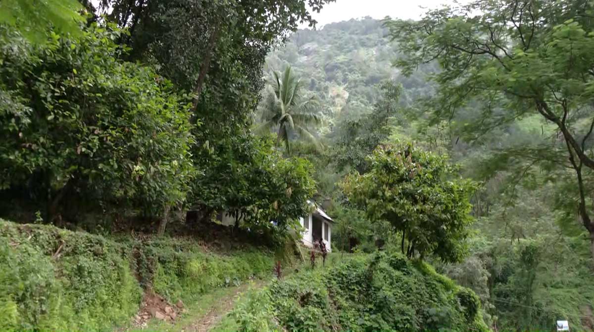 esa-calicut