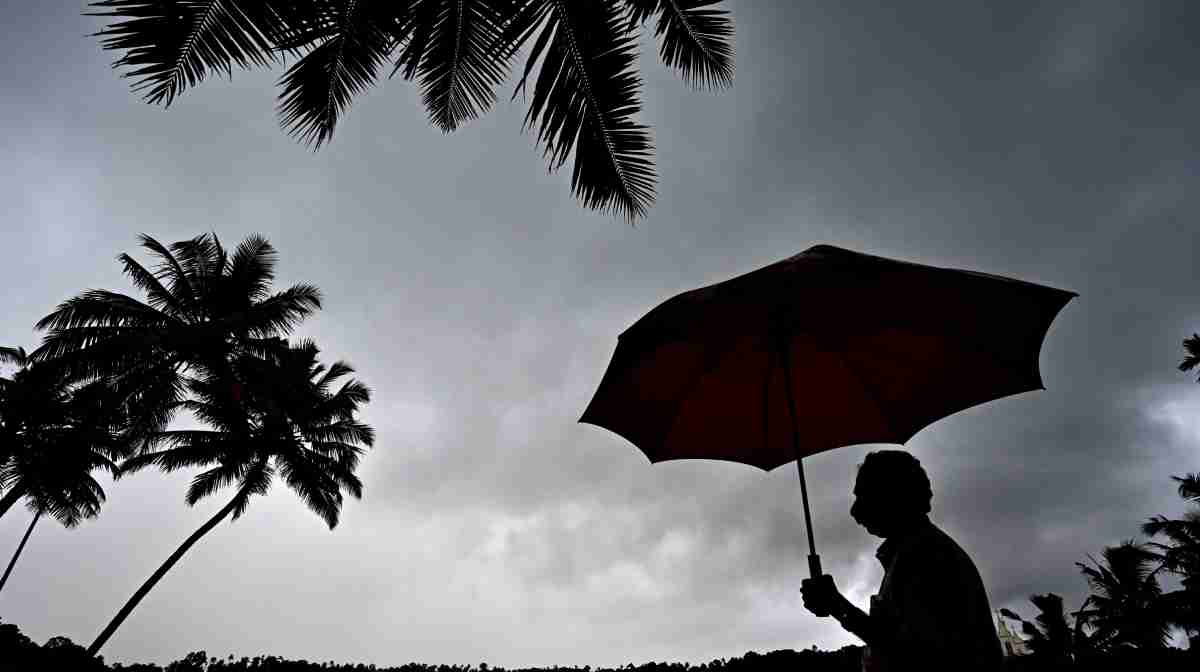 rain-alert