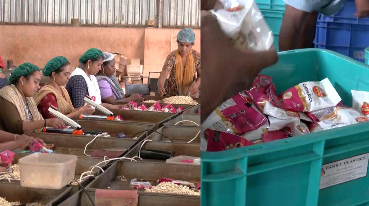 cashew-packing
