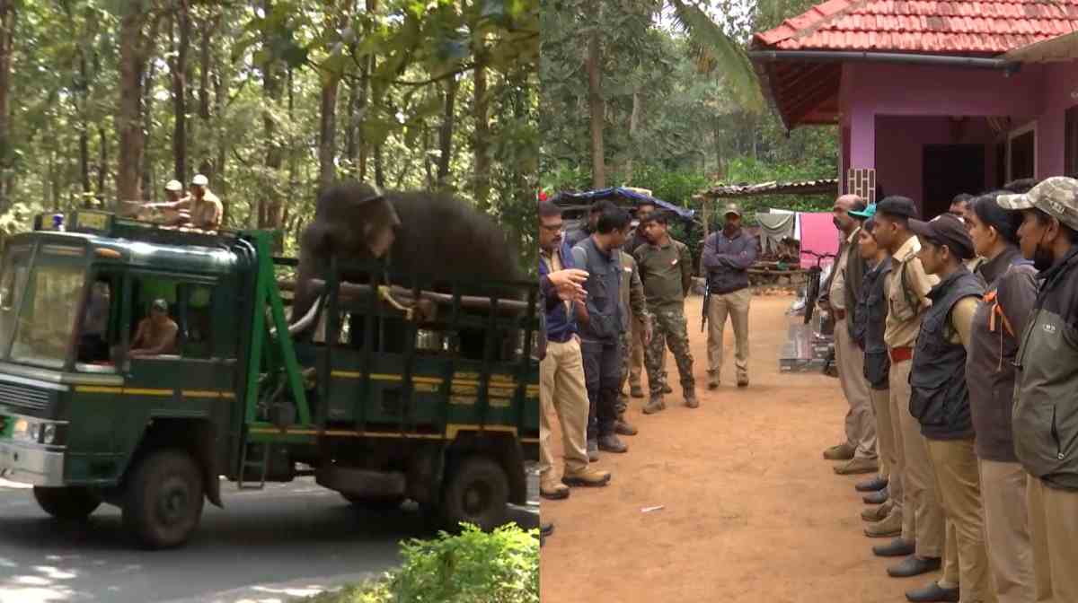 the-tiger-mission-at-amarakuni-has-ended-for-today
