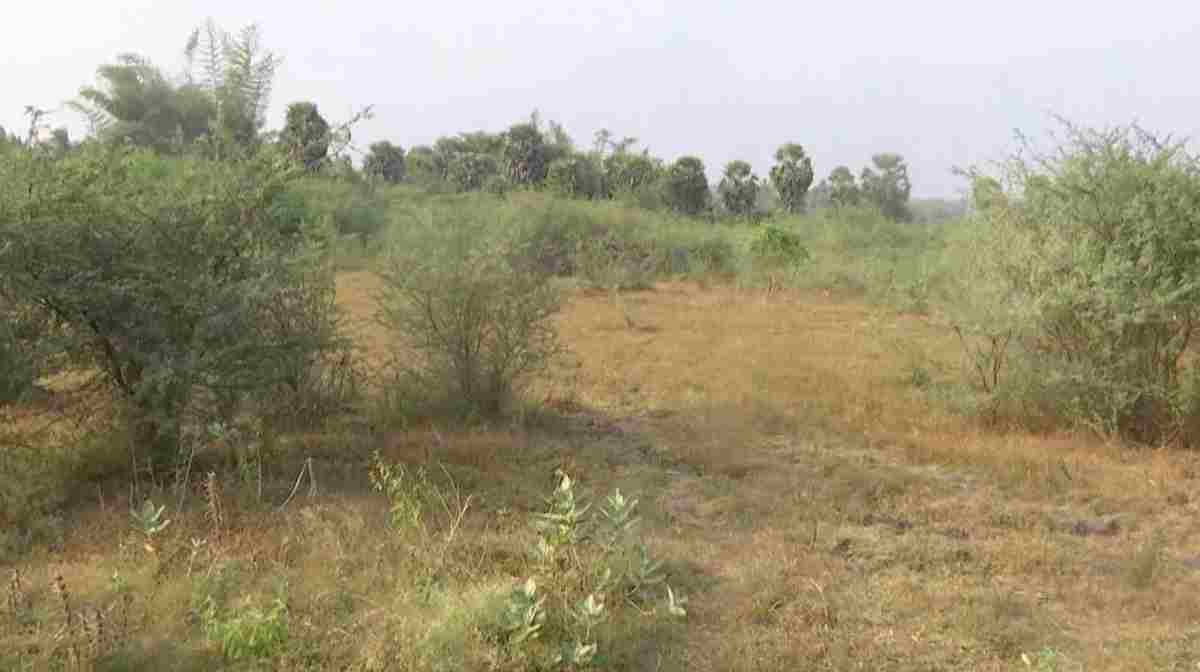 palakkad-kanchikotte-brewery-if-the-plan-comes-farmers-will-go-on-strike
