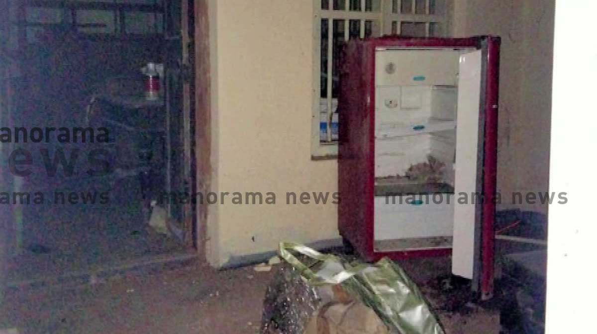 chottanikkara-skelton-probe