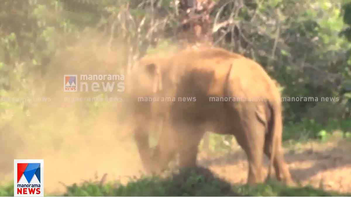 athirappilly
